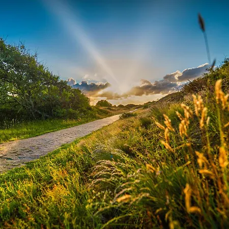 Picks Logierhaus App 7 * Шпикерог