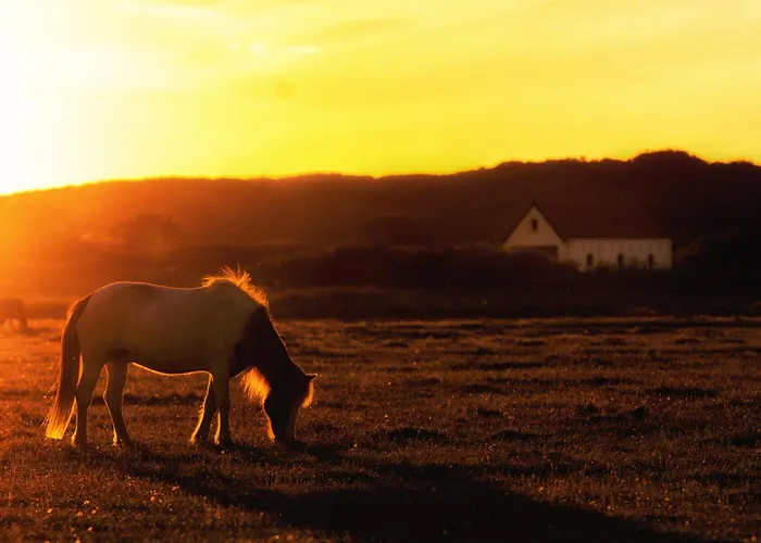 Апартаменты Picks Logierhaus App 7 *