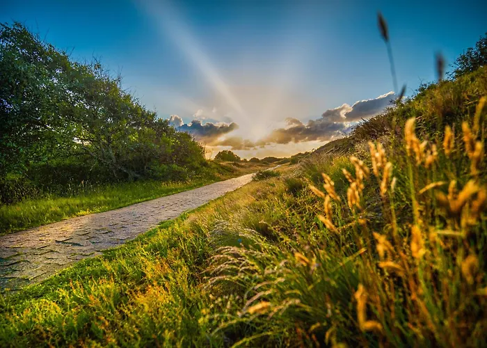 Picks Logierhaus App 7 * Шпикерог